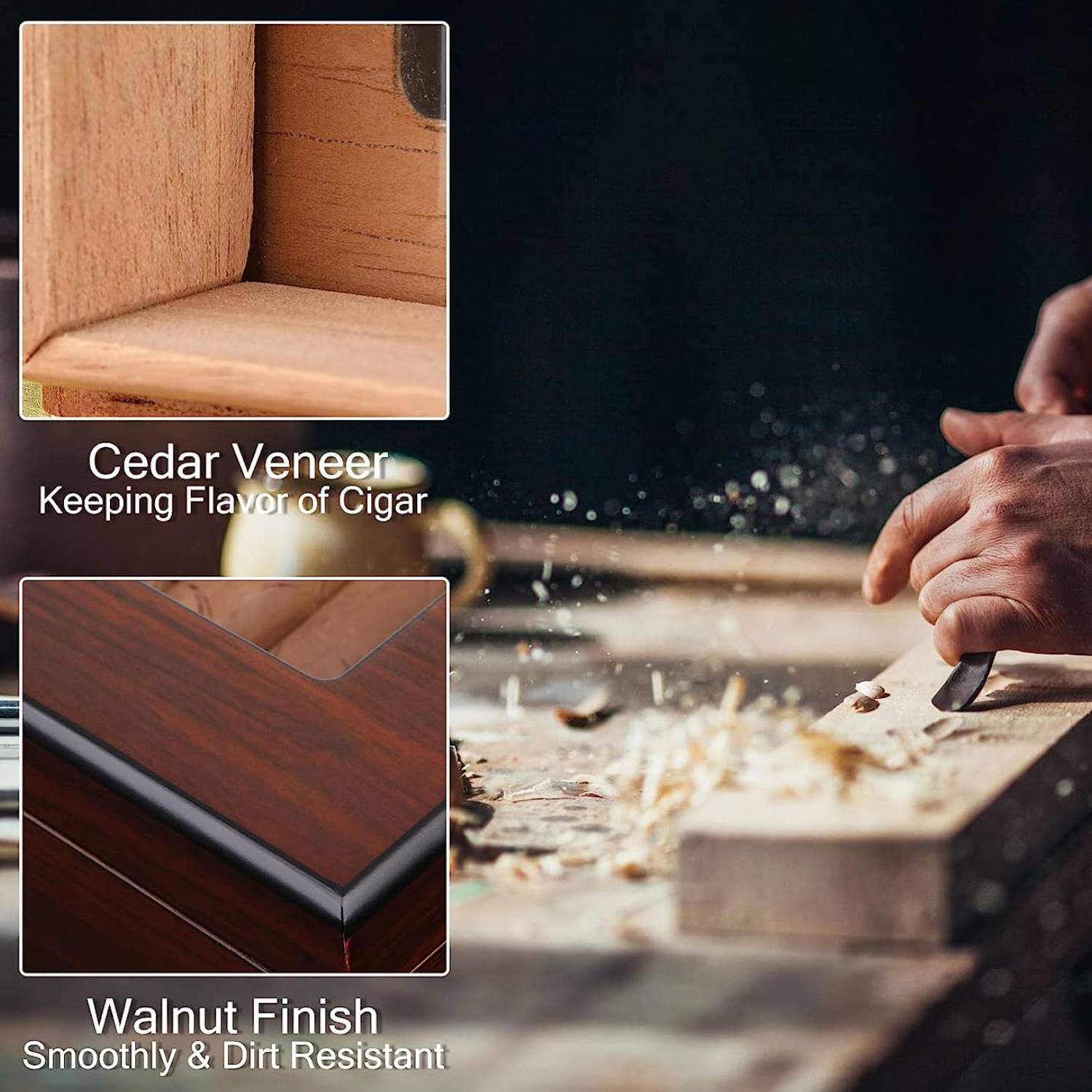 Cigar Box: image 4