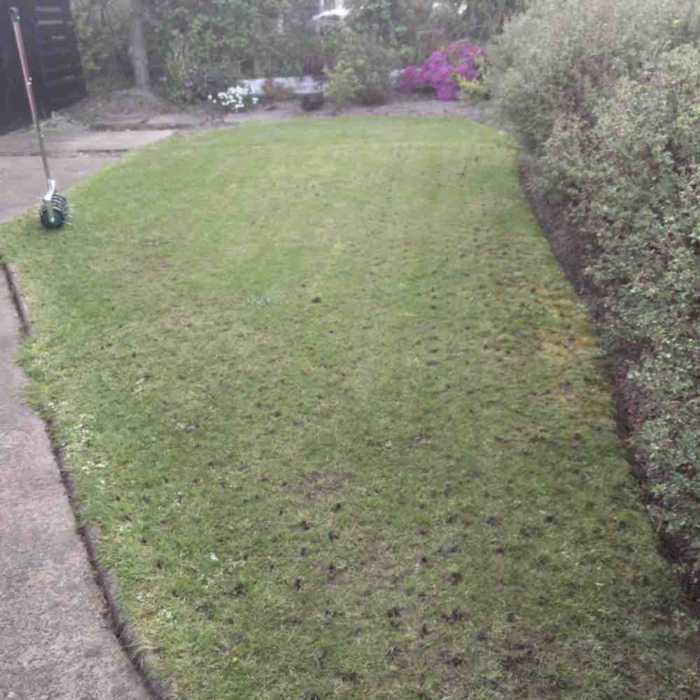 Rolling Aerator: image 4