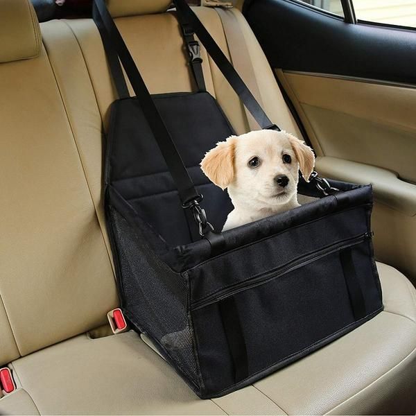 Dog Car Seat