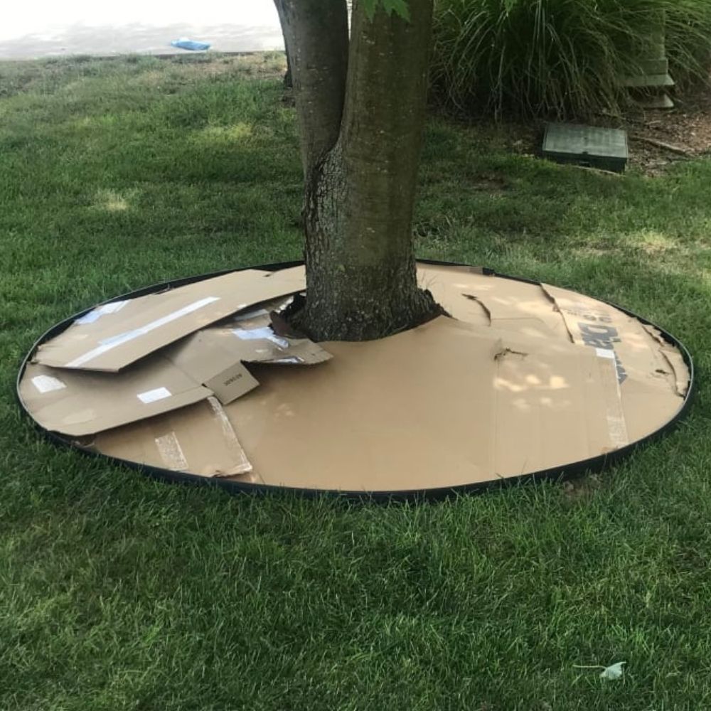 Plastic Lawn Edging - 5cm Face Height (per m): image 14