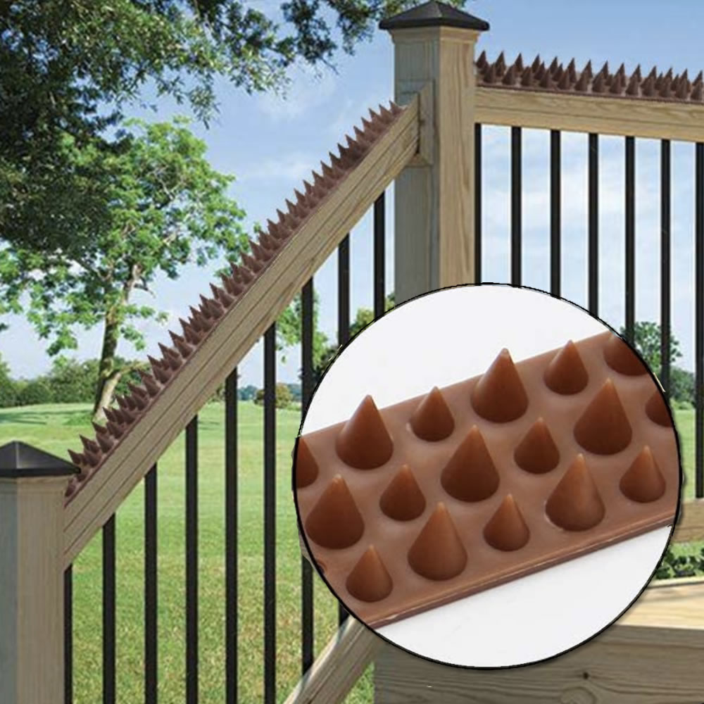 Fence Spikes: image 5