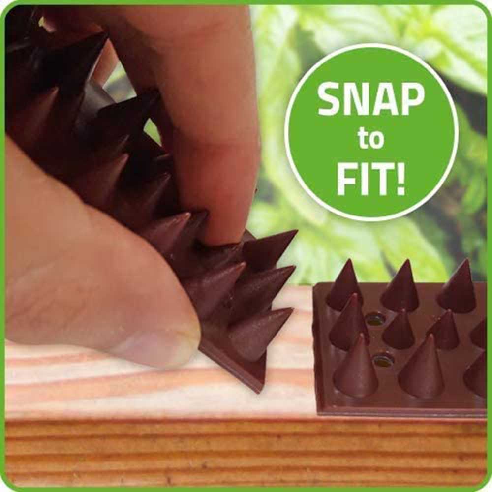 Snake Spikes: image 5