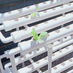 where to buy Hydroponics Kits Quick Easy online